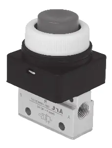 Serie VMM 1/8 NPT